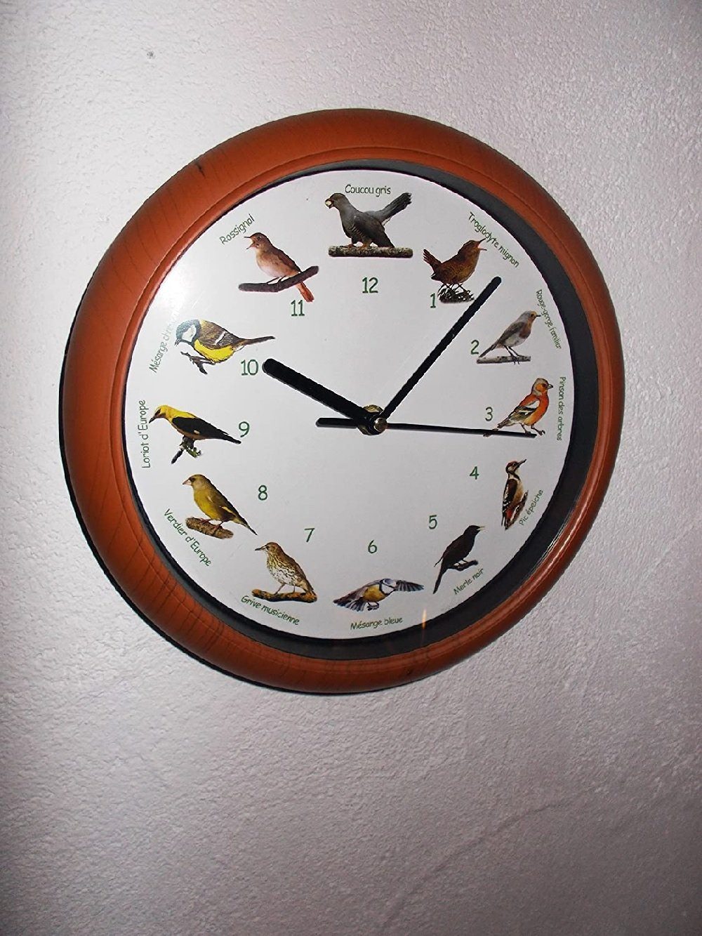 Luna24 simply great ideas... Wanduhr Vogelstimmen-Wanduhr mit französicher günstig online kaufen