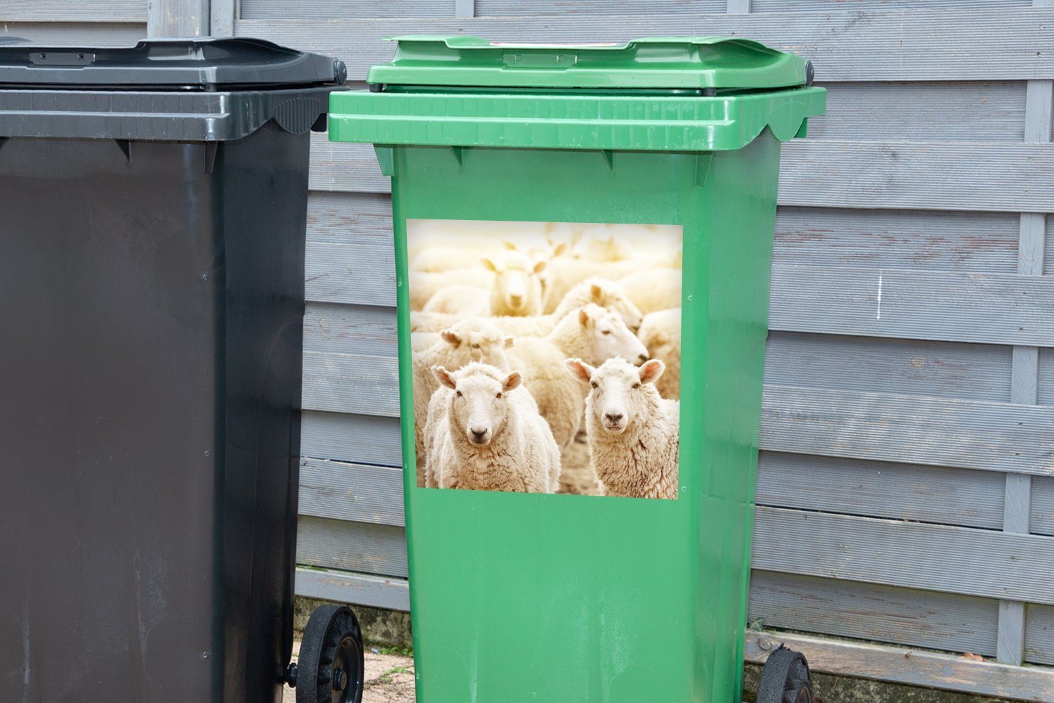 - St), Schafe Abfalbehälter (1 Wolle Wandsticker MuchoWow - Mülleimer-aufkleber, Container, Sticker, Mülltonne, Weiß