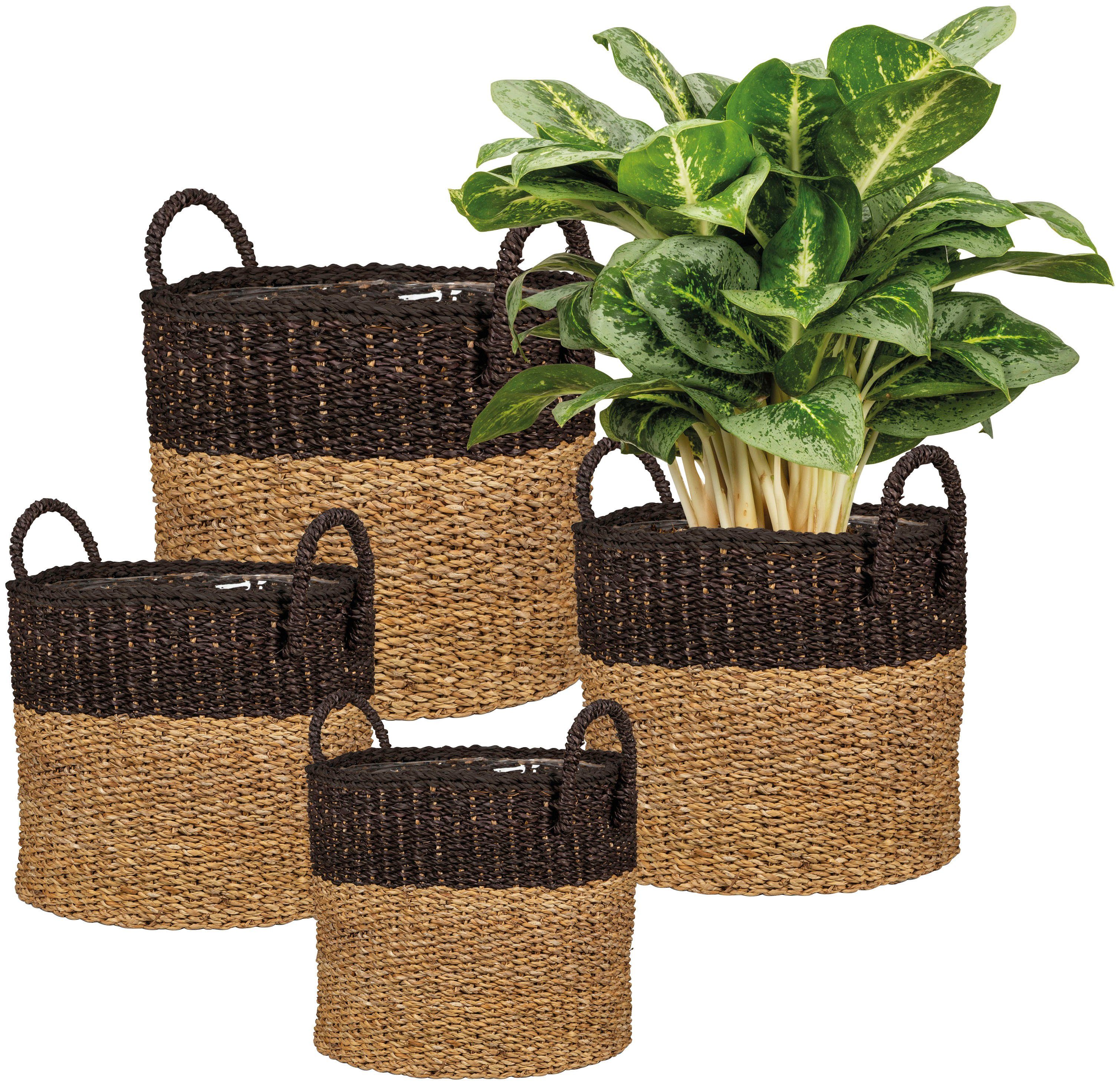 Scheurich Blumentopf nut brown 33/516