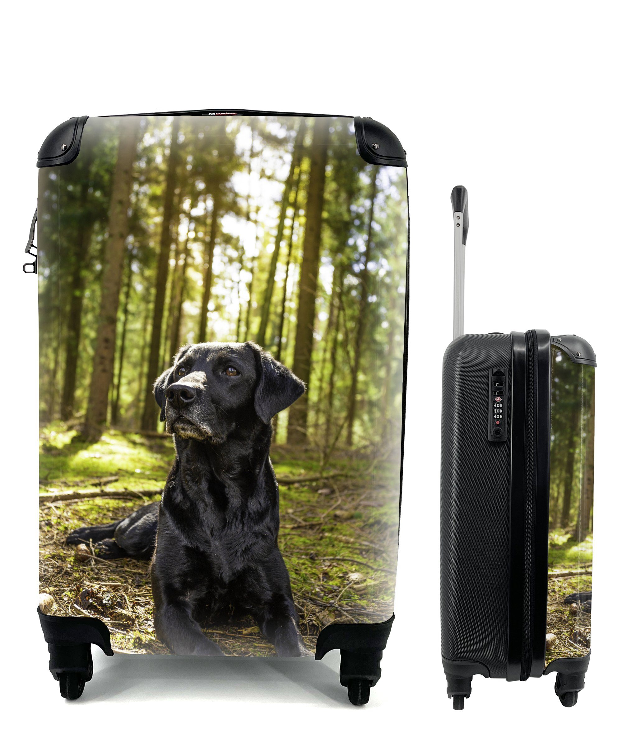MuchoWow Handgepäckkoffer Sonnenstrahlen entlang eines Labrador Retrievers im Wald, 4 Rollen, Reisetasche mit rollen, Handgepäck für Ferien, Trolley, Reisekoffer