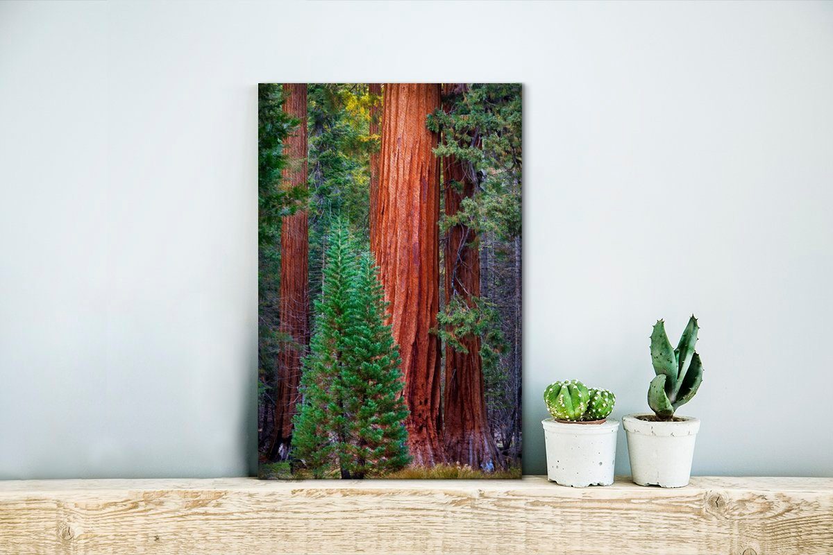 OneMillionCanvasses® Leinwandbild fertig St), im inkl. bespannt Ein (1 Zackenaufhänger, cm Leinwandbild Gemälde, Wald, 20x30 Redwood-Baum