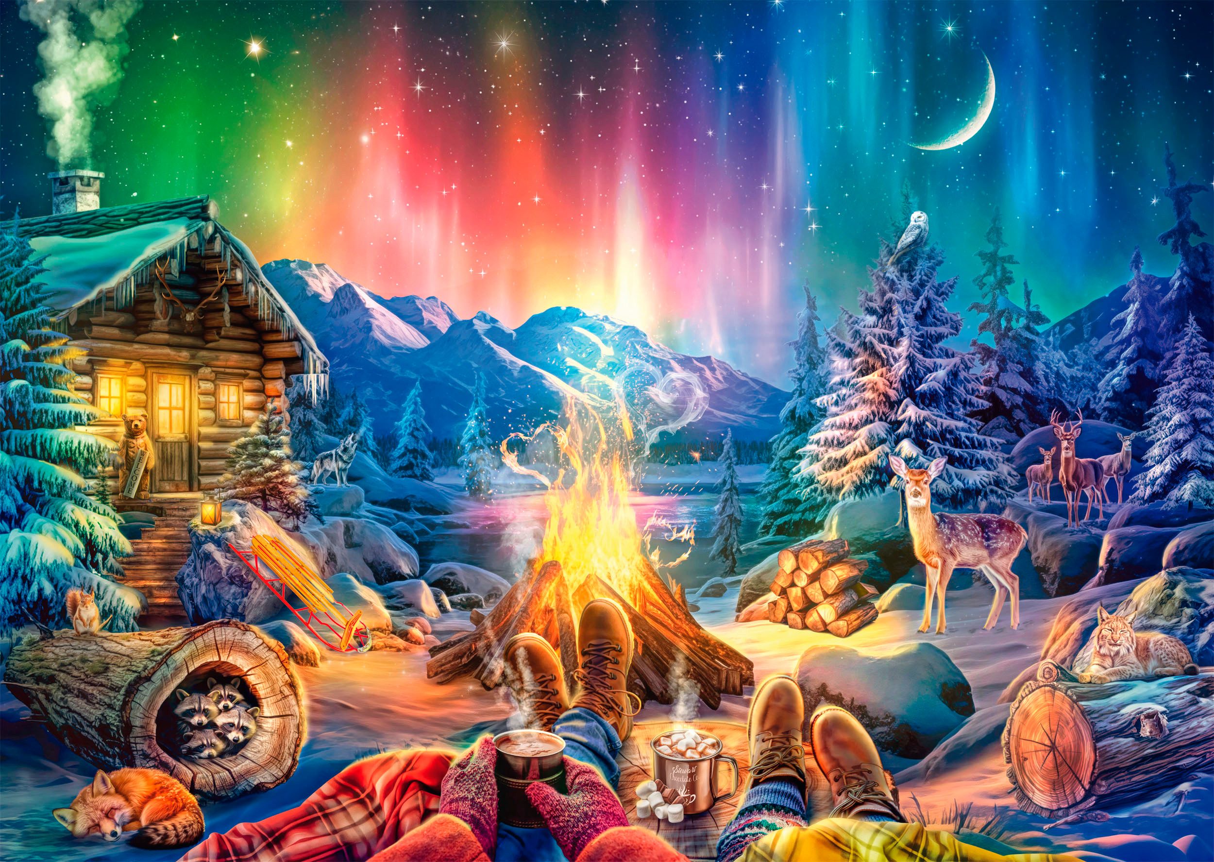 Schmidt Spiele Puzzle Lagerfeuerromantik unterm Sternenhimmel, 1000 Puzzlet günstig online kaufen