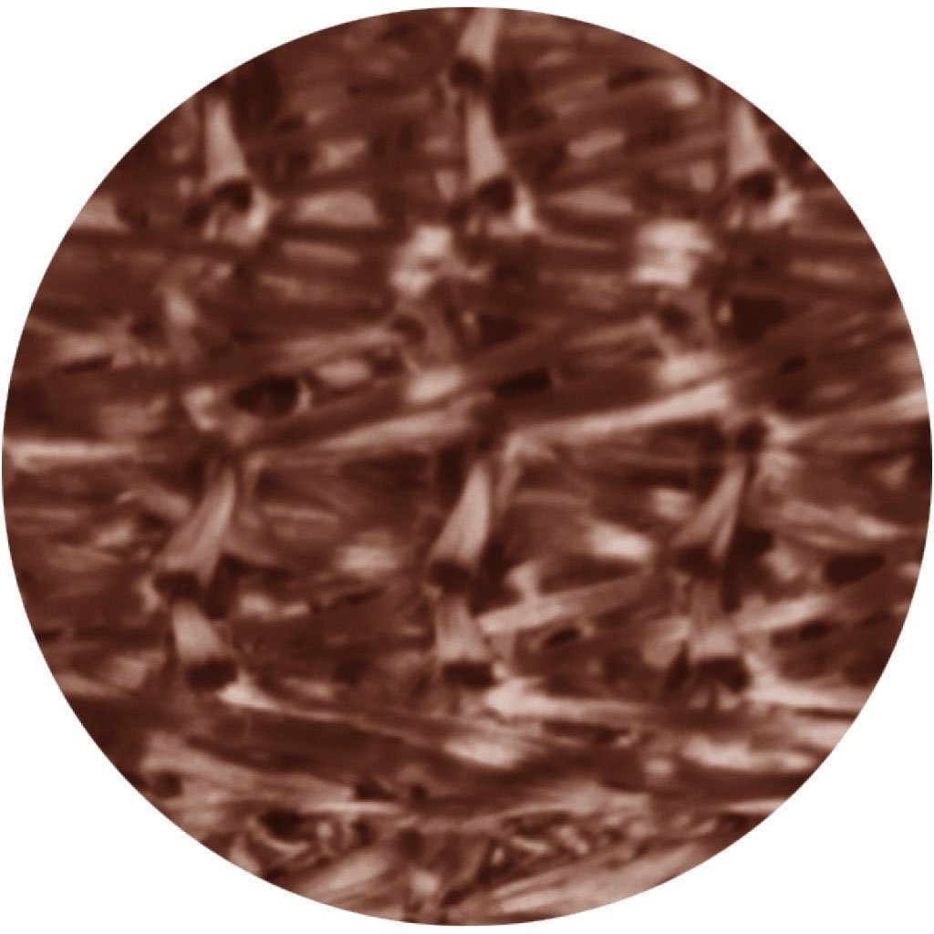 Bestlivings 2er Pack Fadenvorhang Fadengardine Gardine Vorhang 90 cm x 240 günstig online kaufen