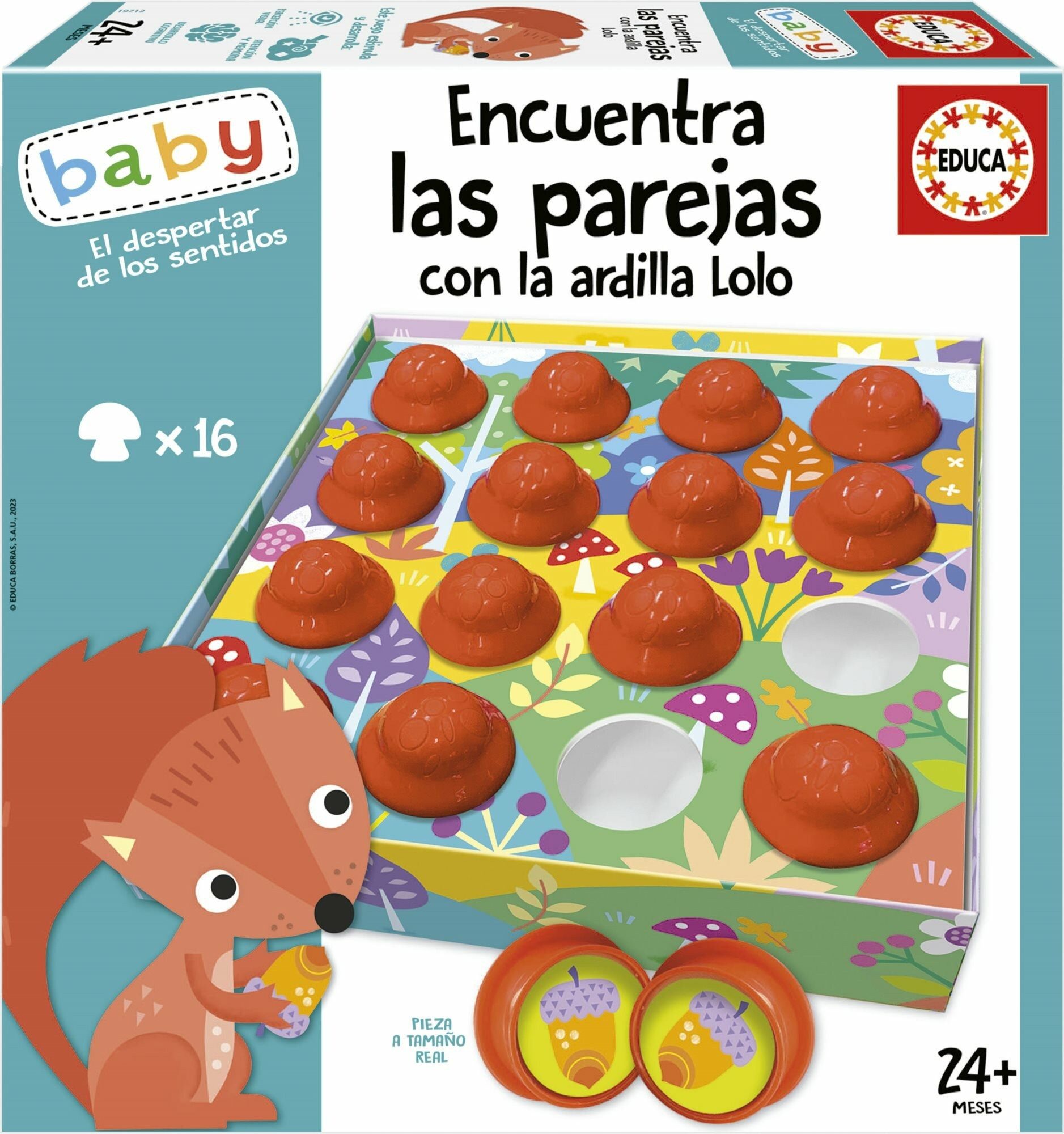 Educa Lernspielzeug Educa Baby Suche nach Paaren mit Lolo dem Eichhörnchen