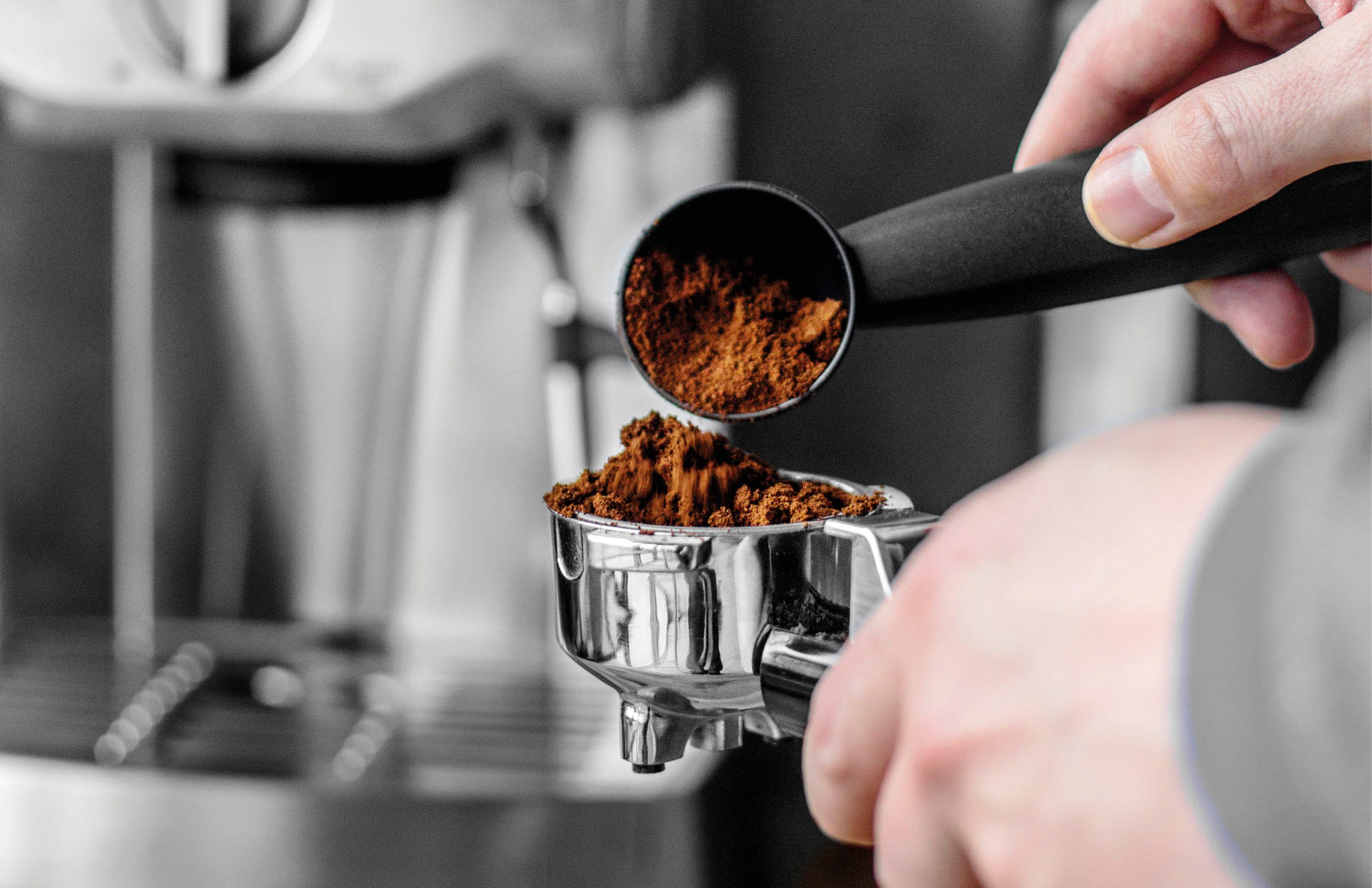 Gastroback Kaffeemühle 42643 Design Digital, 180 W, Kegelmahlwerk, 320 g Bohnenbehälter