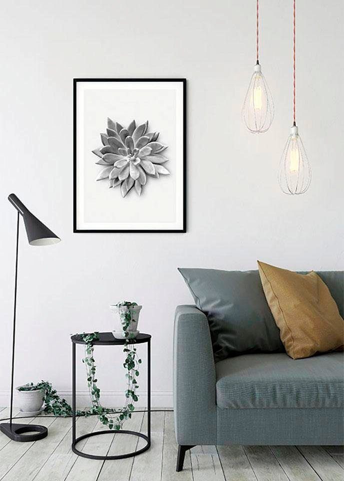 Succulent (1 Komar Schlafzimmer, St), Poster Wohnzimmer Pflanzen Kinderzimmer, Blätter, Agave,