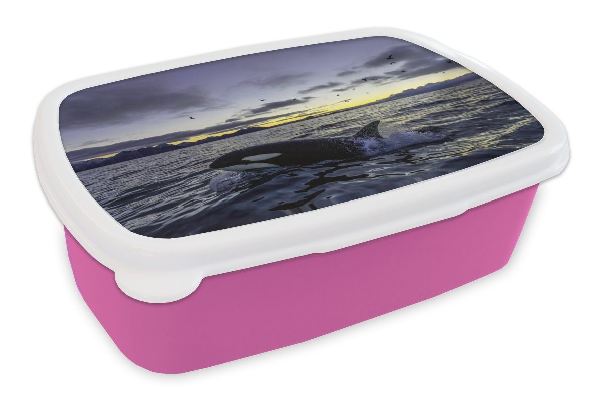 MuchoWow Lunchbox Orca bei Sonnenaufgang, Kunststoff, (2-tlg), Brotbox für Erwachsene, Brotdose Kinder, Snackbox, Mädchen, Kunststoff rosa