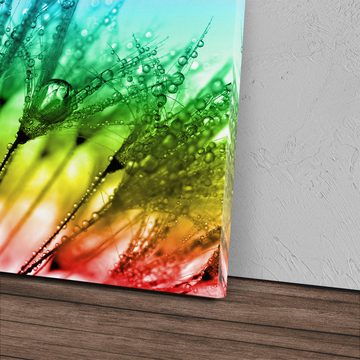 Sinus Art Leinwandbild 120x80cm Wandbild auf Leinwand Makrofotografie Regentropfen Pusteblume, (1 St)
