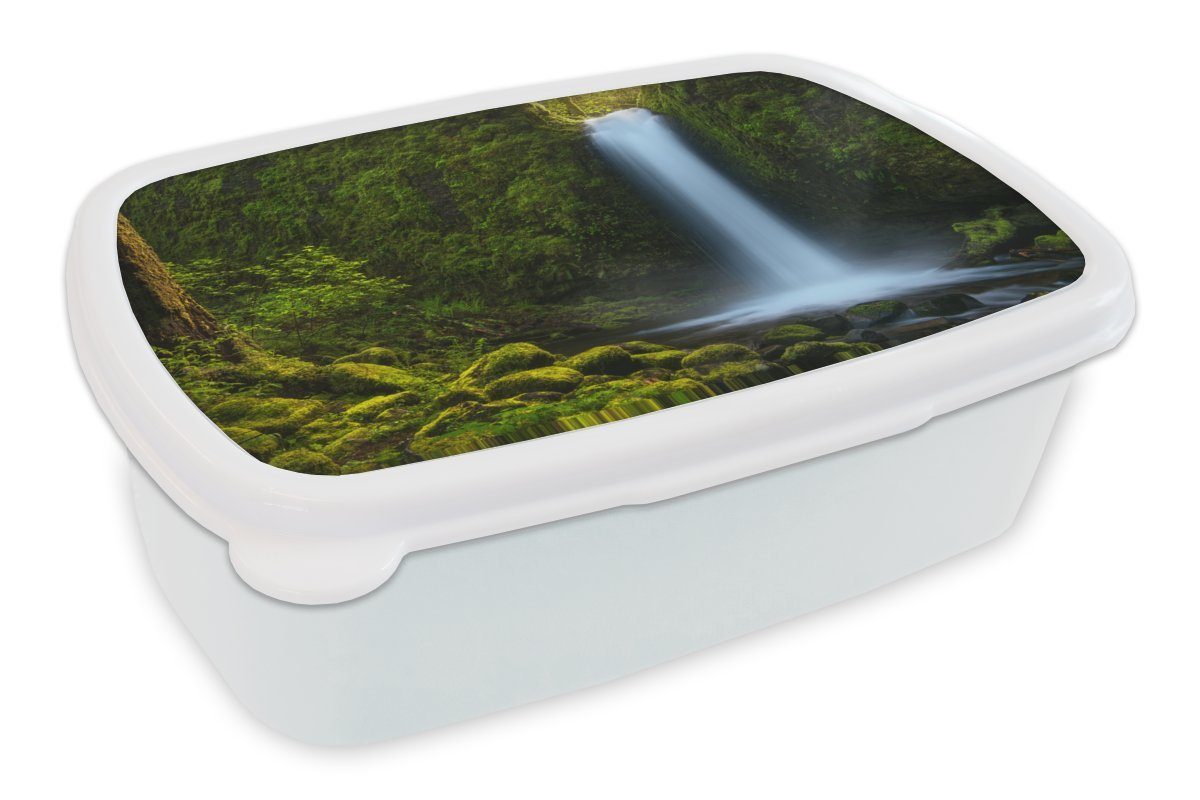 MuchoWow Lunchbox Dschungel - Wasserfall und und Brotbox für Natur, Brotdose, (2-tlg), für - Kinder weiß Jungs Kunststoff, Mädchen Erwachsene