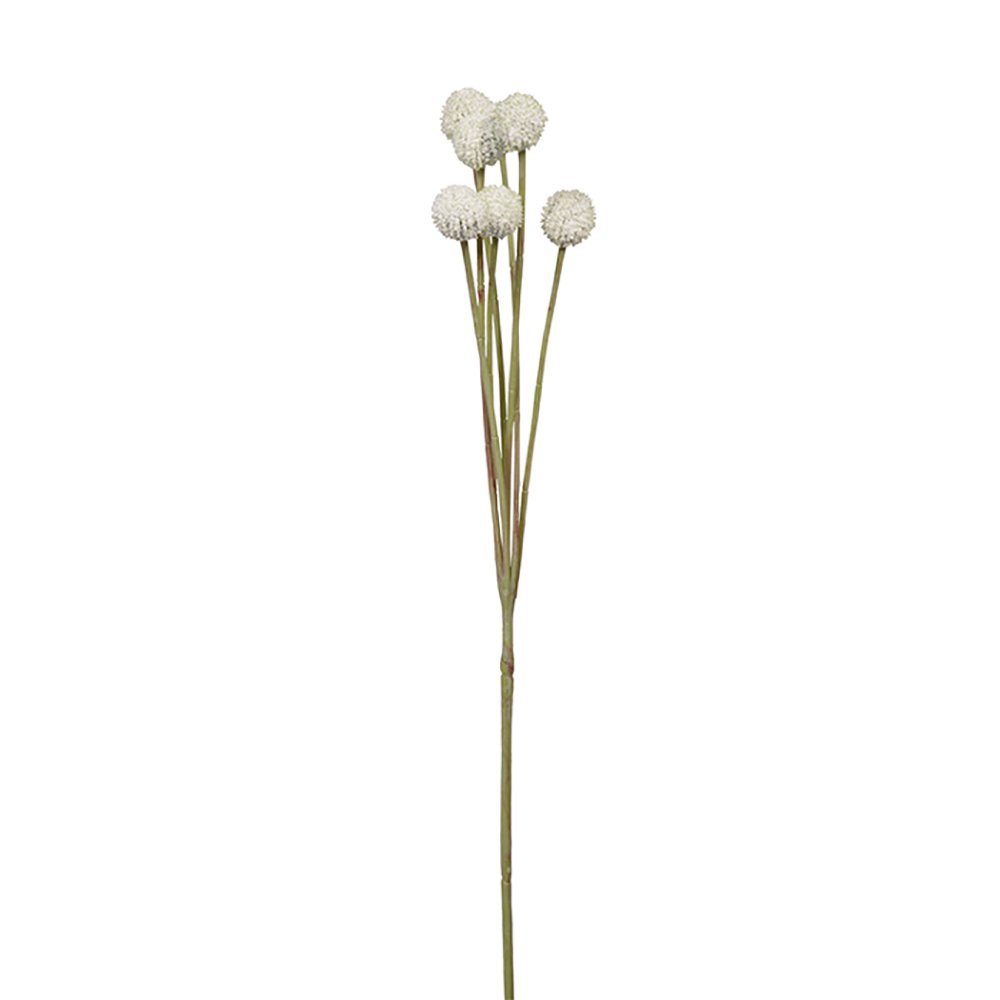 Kunstpflanze FINK Kunstblume Craspedia - creme - H. 60cm x B. 10cm, Fink | Kunstpflanzen