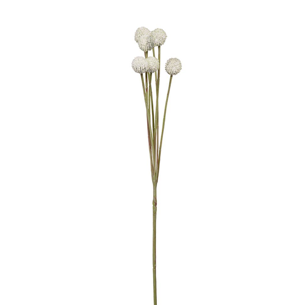 Kunstpflanze FINK Kunstblume Craspedia - creme günstig online kaufen