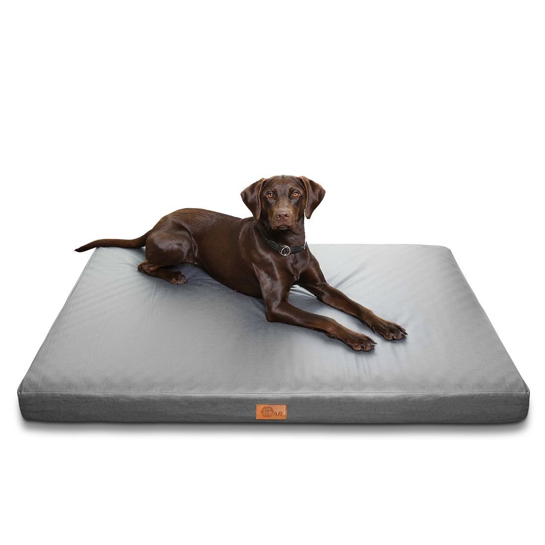 yourGEAR Hundematte your GEAR Biella 120x80x10 cm orthopädisches Hundebett, günstig online kaufen