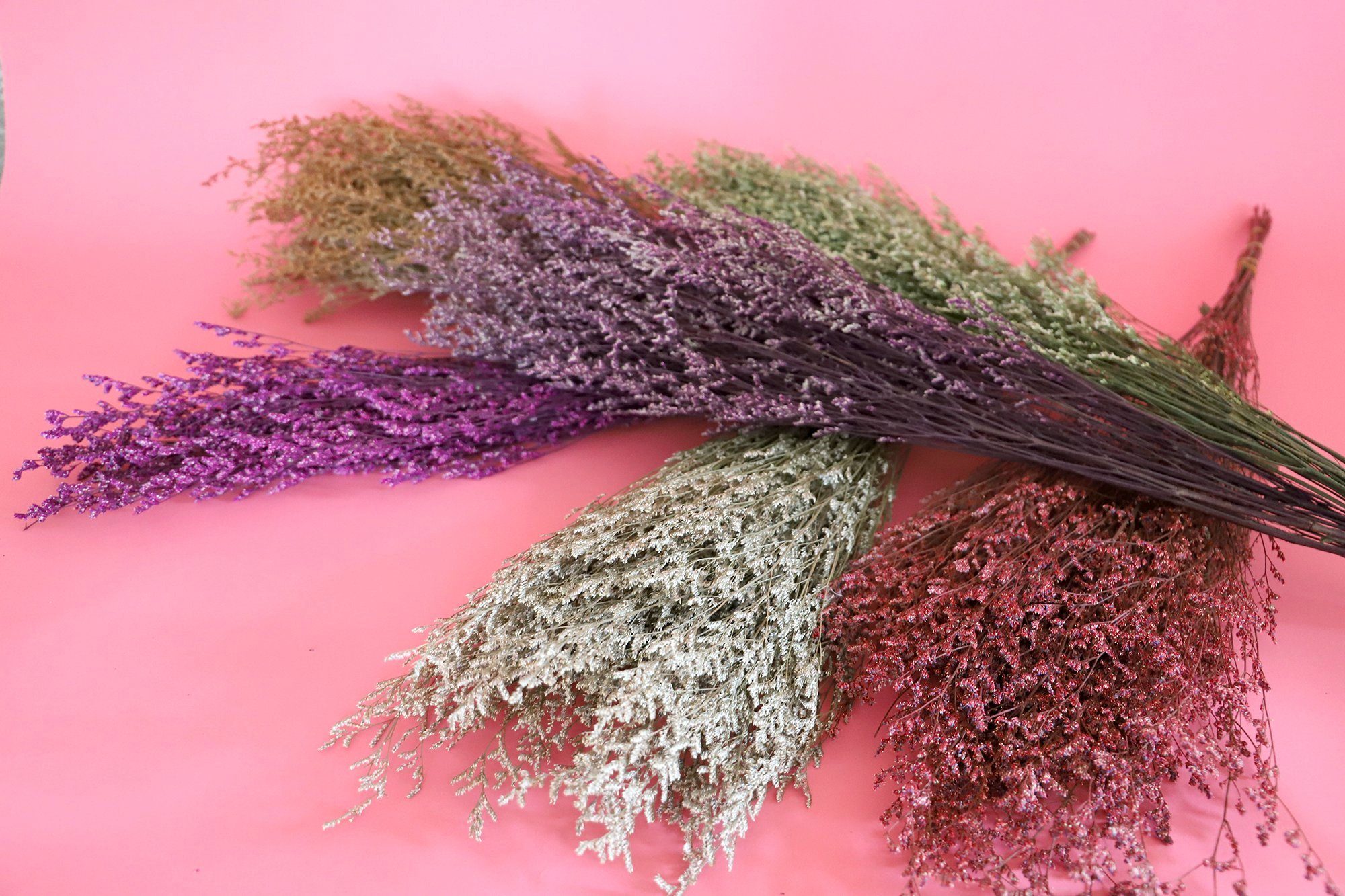 Trockenblume Getrocknete Gräser in vielen - Kunstharz.Art Farben Natur