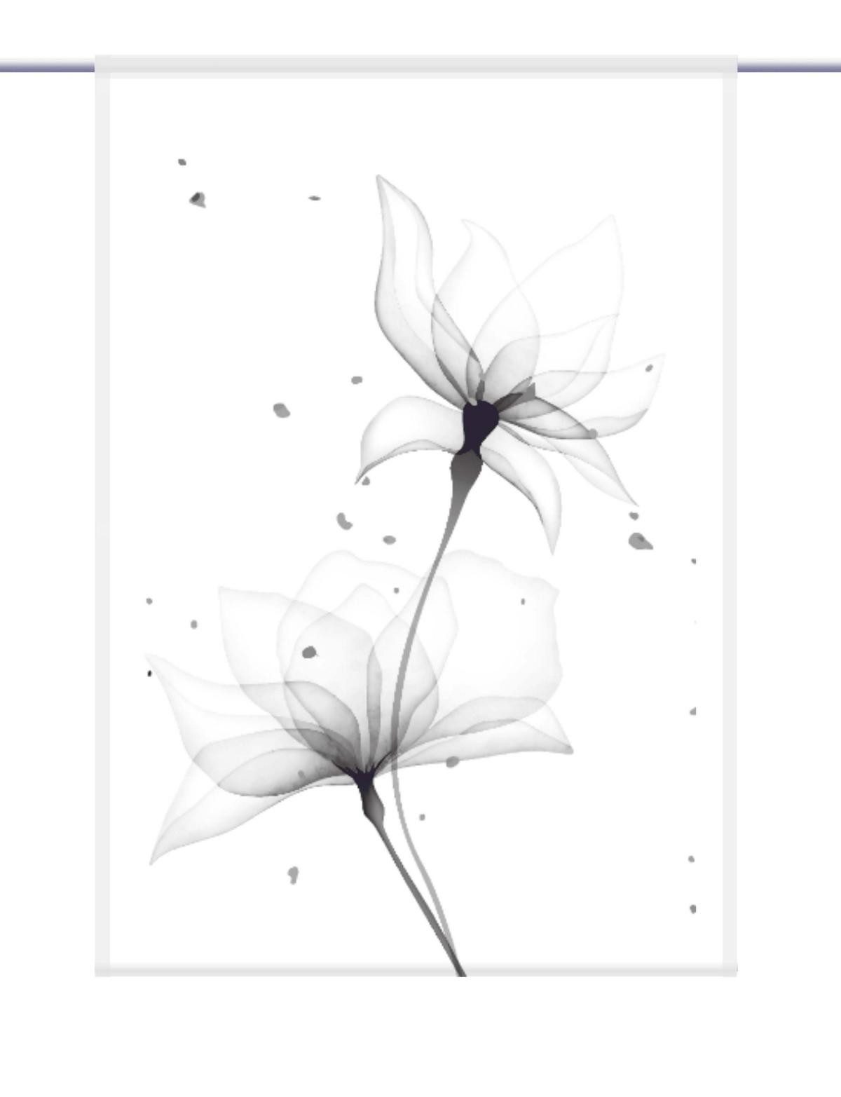 gardinen-for-life Scheibengardine Lule duo grey -eckiger günstig online kaufen
