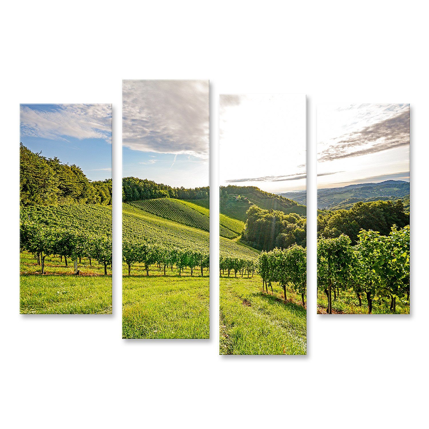 Leinwandbild Bild auf Leinwand Reben Weinberg Herbst Weintrauben Ernte Europa Wandb
