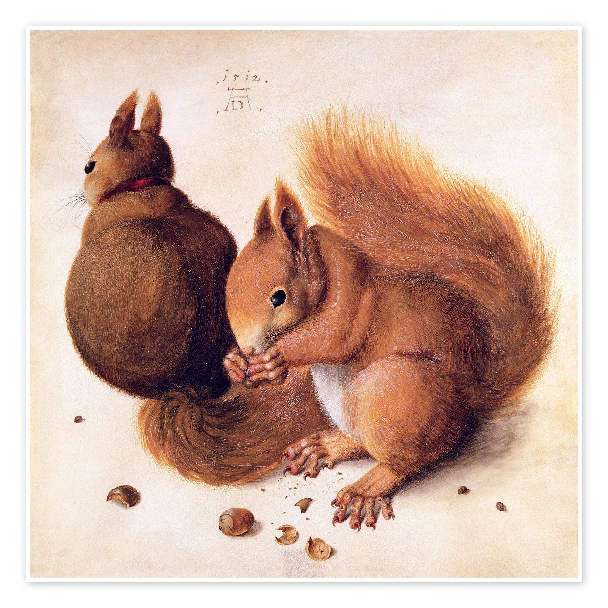 Poster Albrecht Dürer