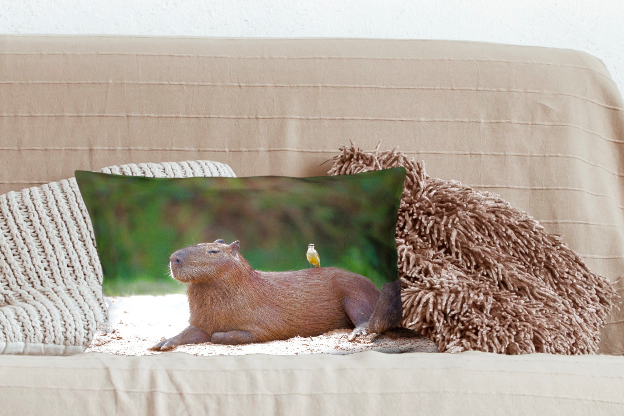 mit Dekokissen mit Capybara Vogel Dekoration, einem Ein Wohzimmer Zierkissen, Schlafzimmer Füllung, Dekokissen MuchoWow darauf, kleinen