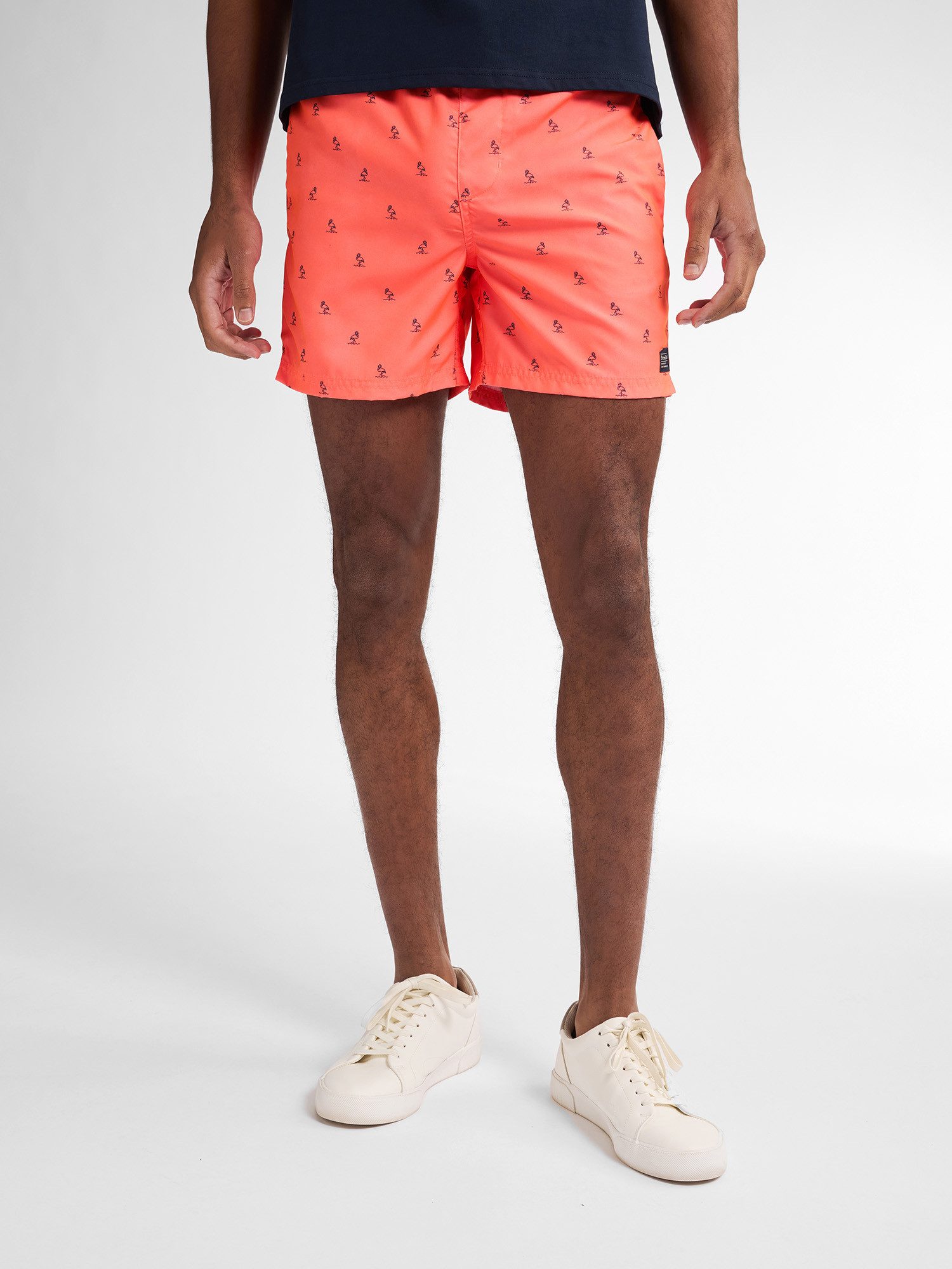 Petrol Industries Badeshorts Wavecrestview günstig online kaufen
