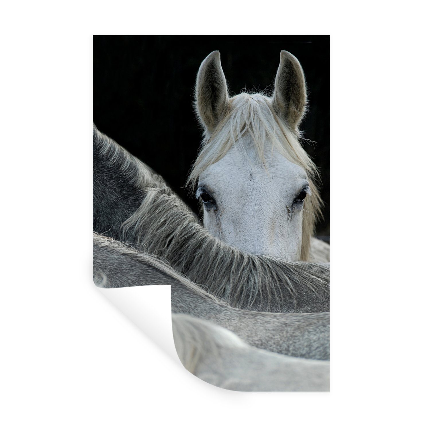 MuchoWow Wandsticker Pferde - Tiere - Schwarz - Weiß (1 St), Wandaufkleber, Wandtattoo, Selbstklebend, Wohnzimmer, Schlafzimmer
