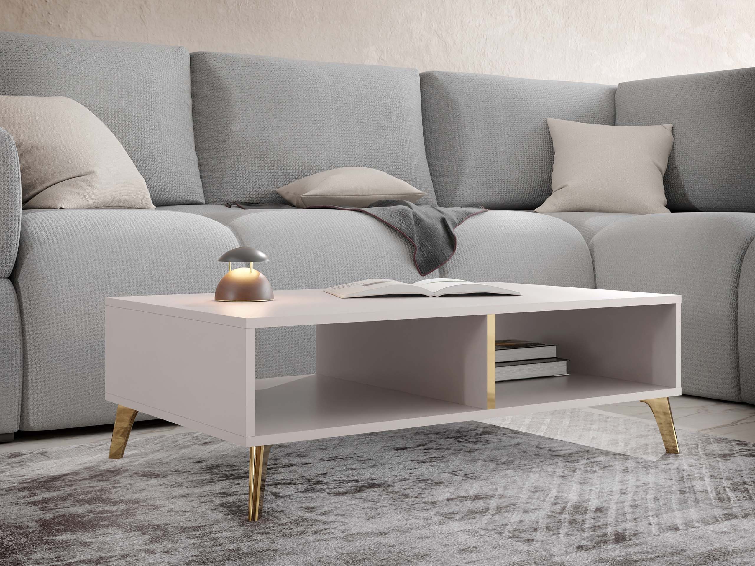 MIRJAN24 Couchtisch Picru (mit Einlegeboden), 100x60x32 günstig online kaufen