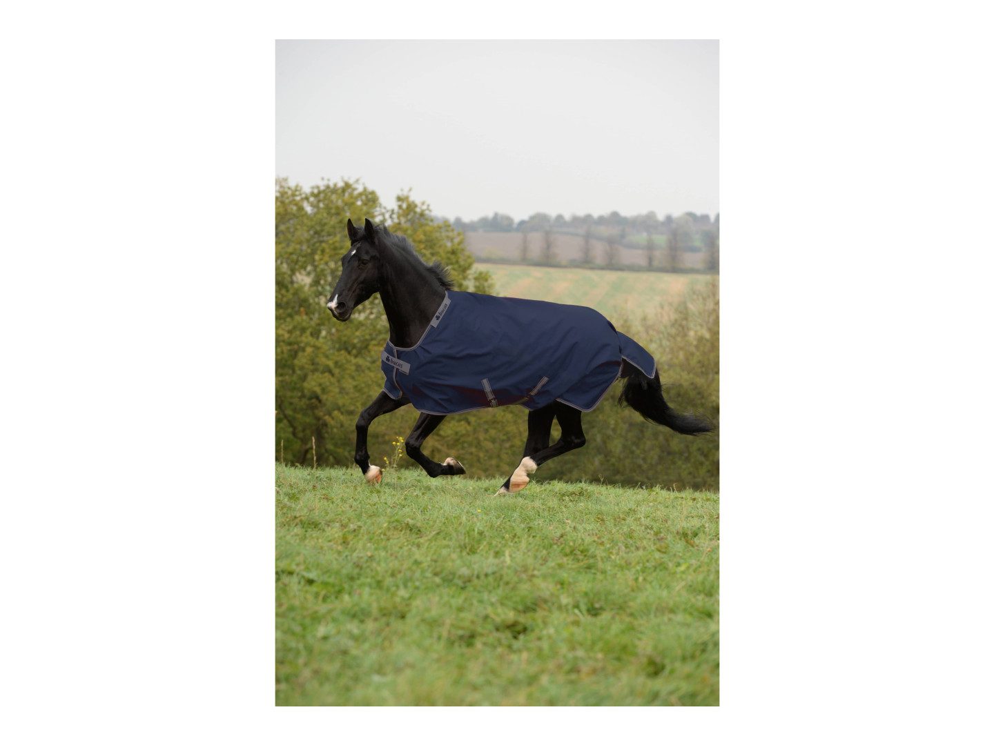 Bucas Ausreitdecke Outdoordecke IVR Turnout 0g in Maritime/Silver