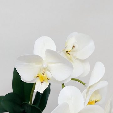 Kunstpflanze, DPI, Höhe 38 cm, Weiß L:13cm B:7cm H:38cm Kunststoff