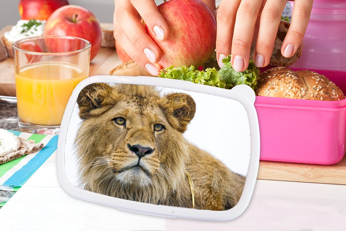 MuchoWow Lunchbox Löwe - Weiß Snackbox, Kinder, - Brotbox für Kunststoff (2-tlg), Kunststoff, Mädchen, Porträt, Brotdose Erwachsene, rosa