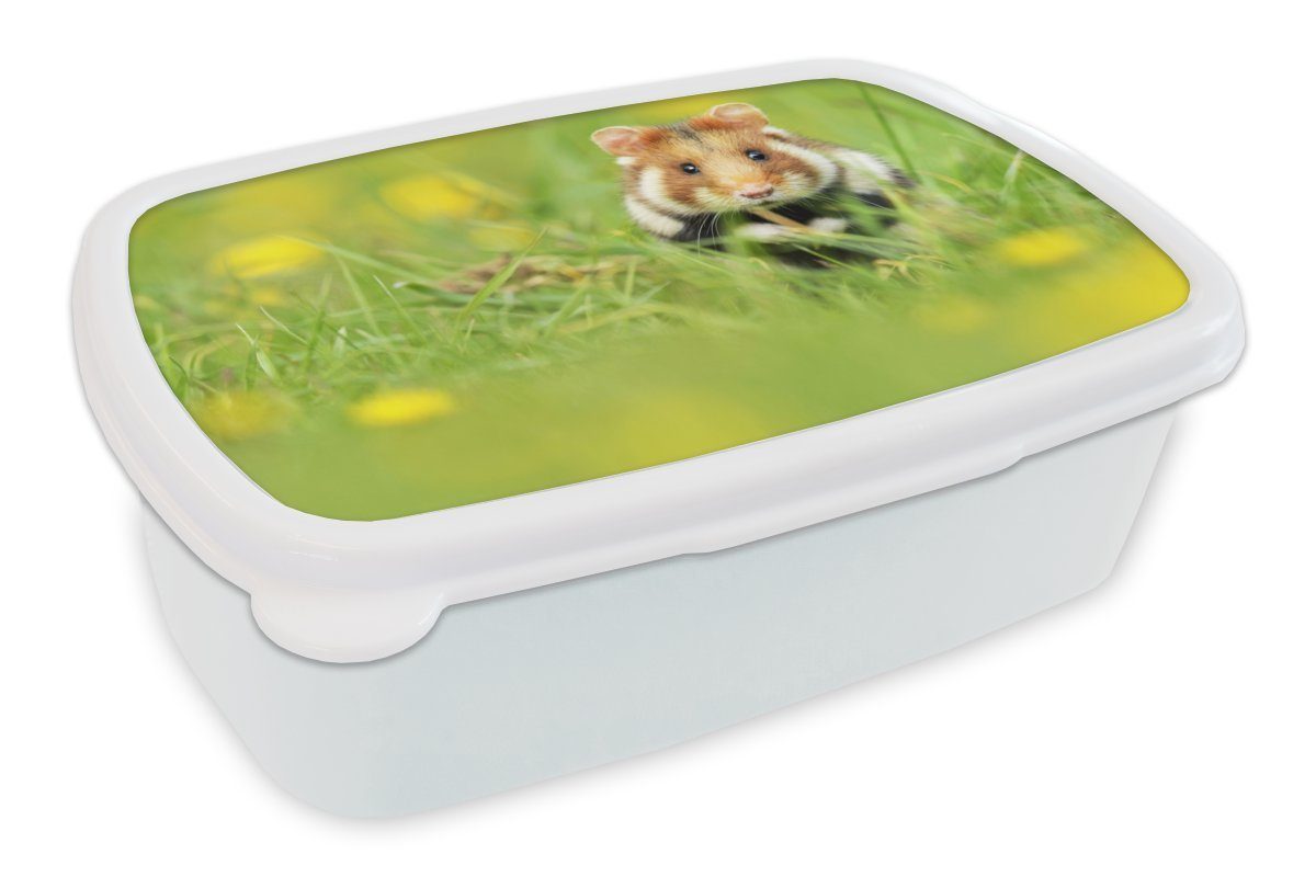 MuchoWow Lunchbox Europäischer Hamster im Gras, Kunststoff, (2-tlg), Brotbox für Kinder und Erwachsene, Brotdose, für Jungs und Mädchen weiß