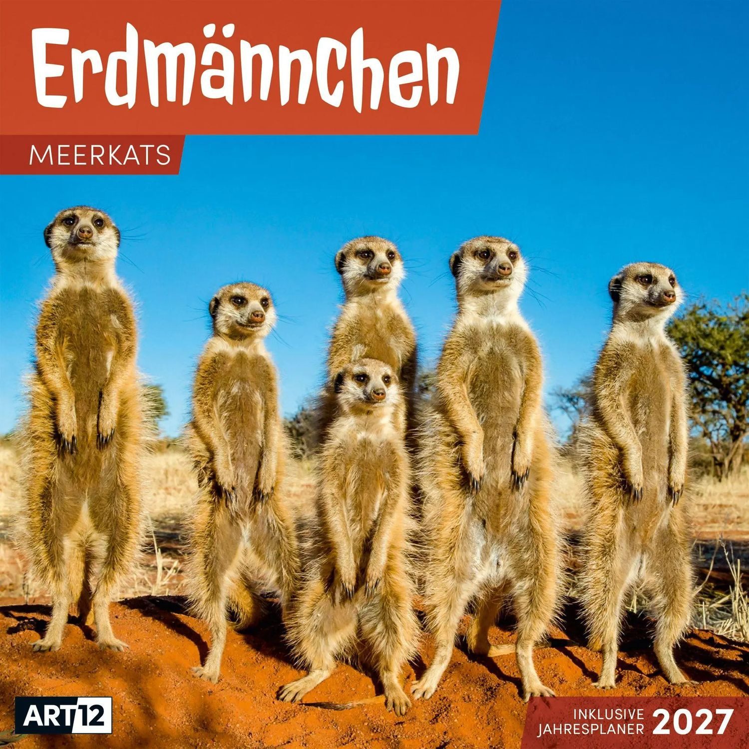 Ackermann Wandkalender Erdmännchen Kalender 2027 - 30x30 - Art12