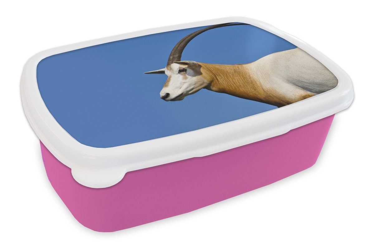 MuchoWow Lunchbox Tier - Horn - Ziege, Kunststoff, (2-tlg), Brotbox für Erwachsene, Brotdose Kinder, Snackbox, Mädchen, Kunststoff rosa