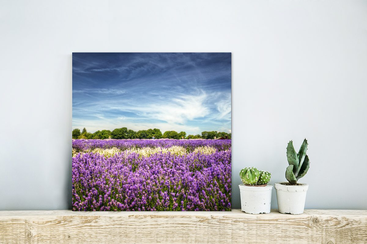 Lavendel Metallbild Natur, Aluminium der in deko aus St), MuchoWow (1 Gemälde Blauer über Metall, Alu-Dibond-Druck, Himmel