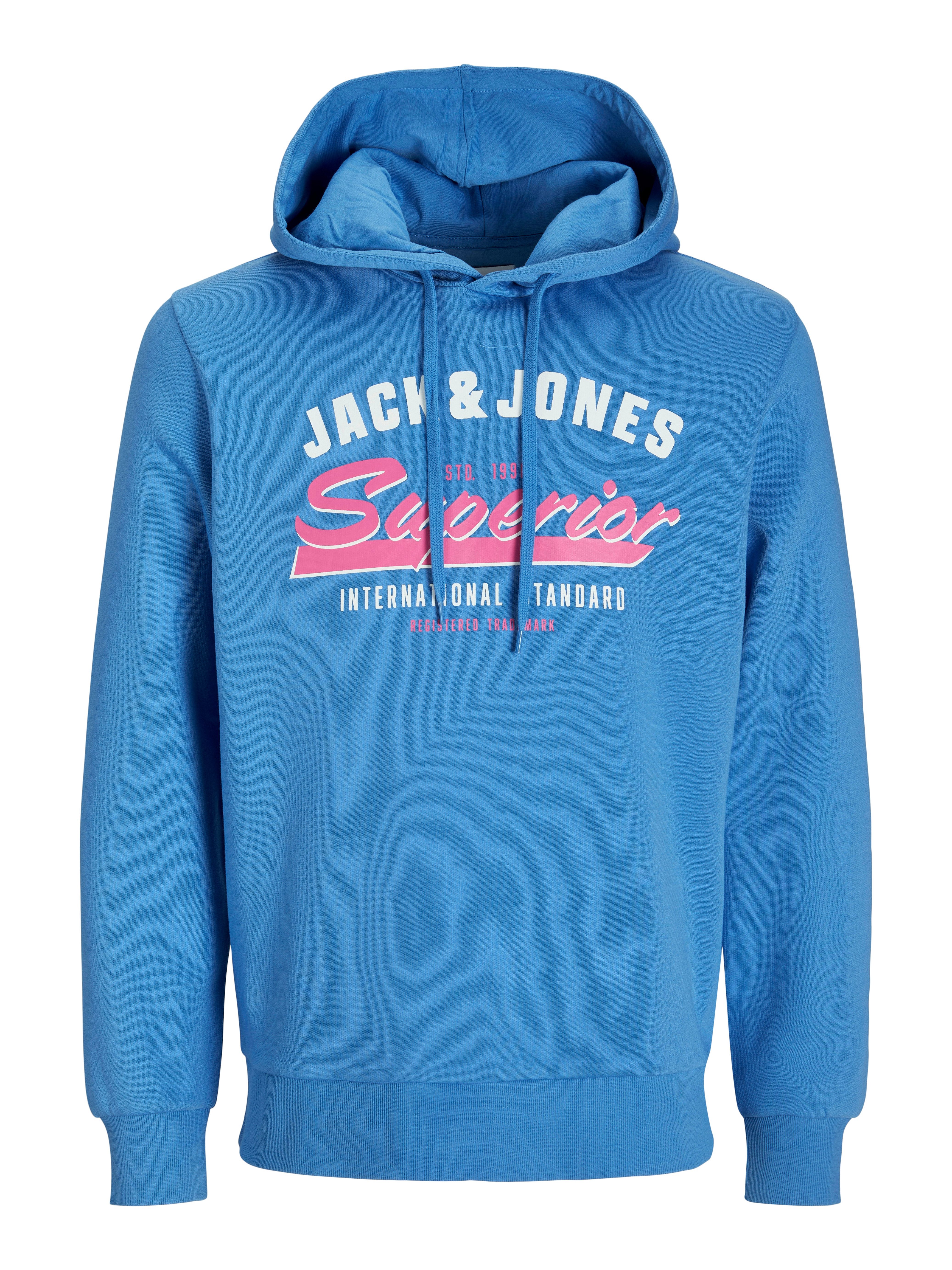 Kapuzensweatshirt JJELOGO SWEAT HOOD 2 COL 24/25 NOOS