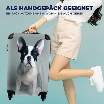 MuchoWow Handgepäckkoffer Französische Bulldogge - Welpe - Weiß, 4 Rollen, Reisetasche mit rollen, Handgepäck für Ferien, Trolley, Reisekoffer