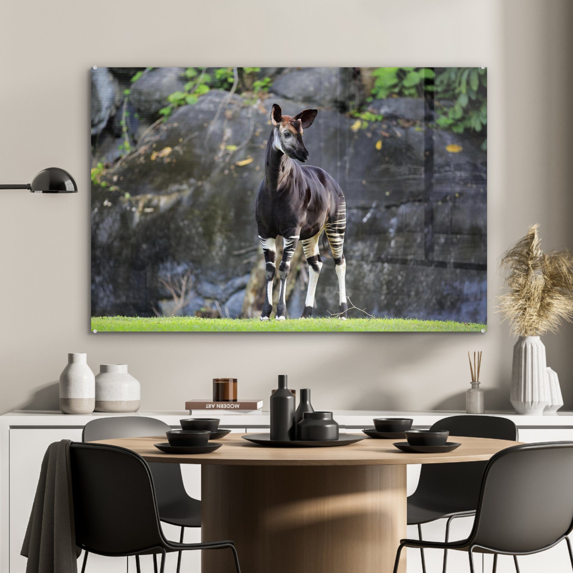 (1 im Acrylglasbild Grasland, MuchoWow Schlafzimmer & Wohnzimmer Acrylglasbilder Okapi St),