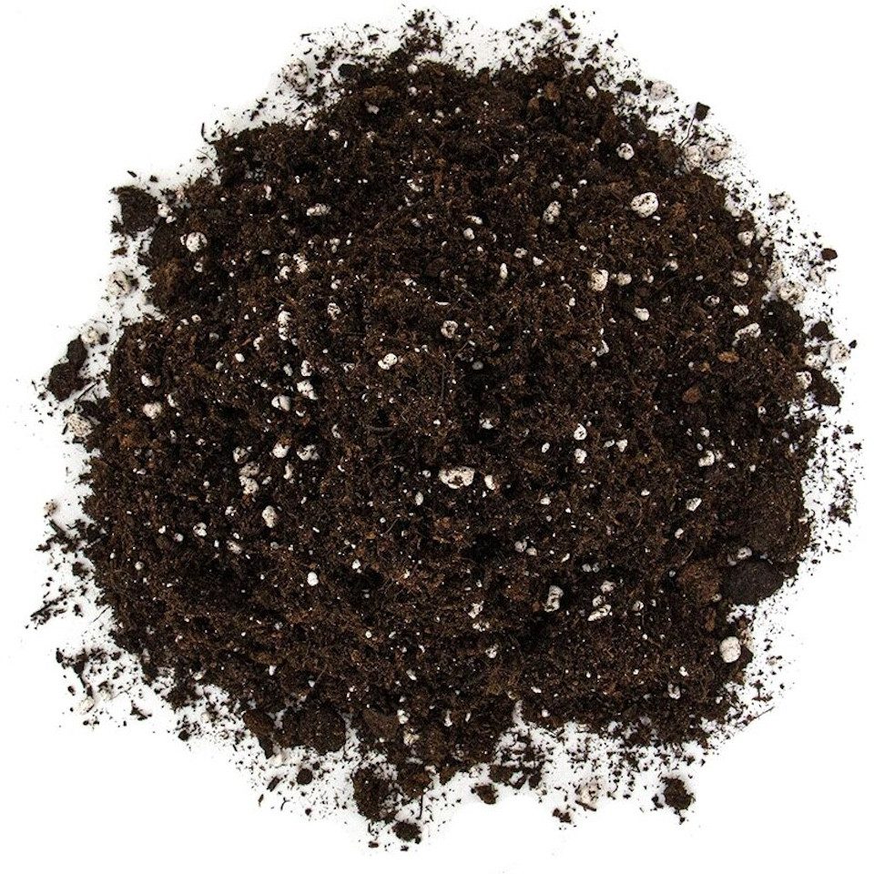 Thumbnail - Floragard Pflanzerde Floragard Professional Growmix 70 Liter, mit Mineralischer NPK-Dünger mit Spurennährstoffen, 70 Lit...