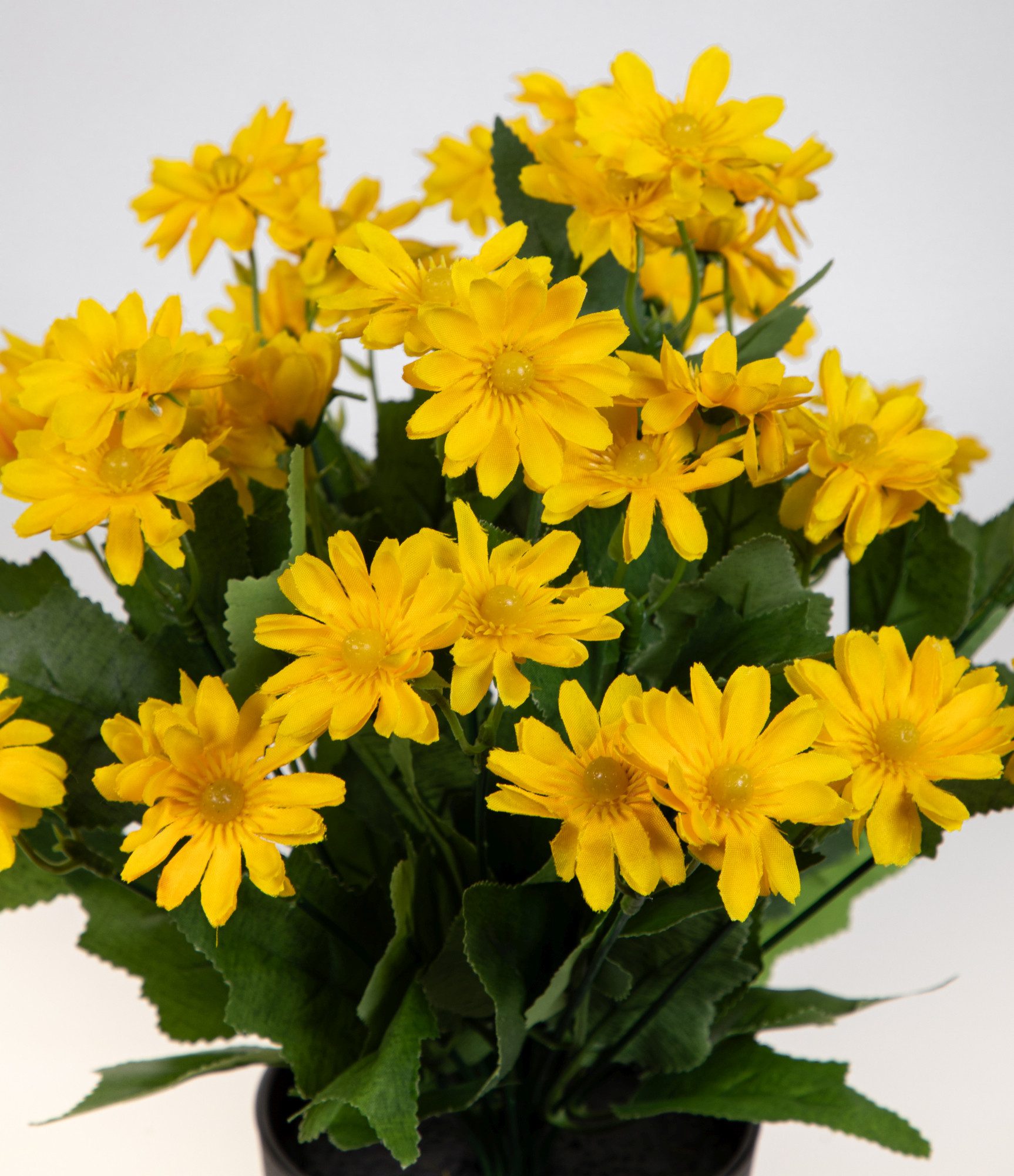 Kunstblume Margeritenbusch 32cm im Topf JA Kunstpflanzen künstliche Blume Pflanze Margerite, Seidenblumen Roß, Höhe 32 cm, Gelb