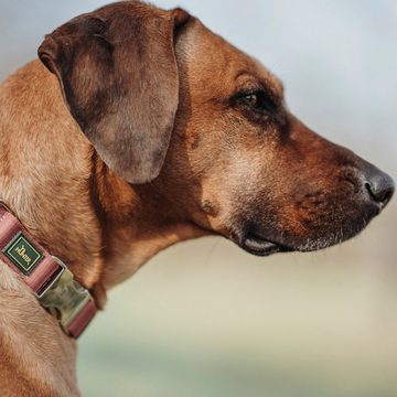 Hunter Tierbedarf Hunde-Halsband Halsband Inari Alu-Strong pastellrot
