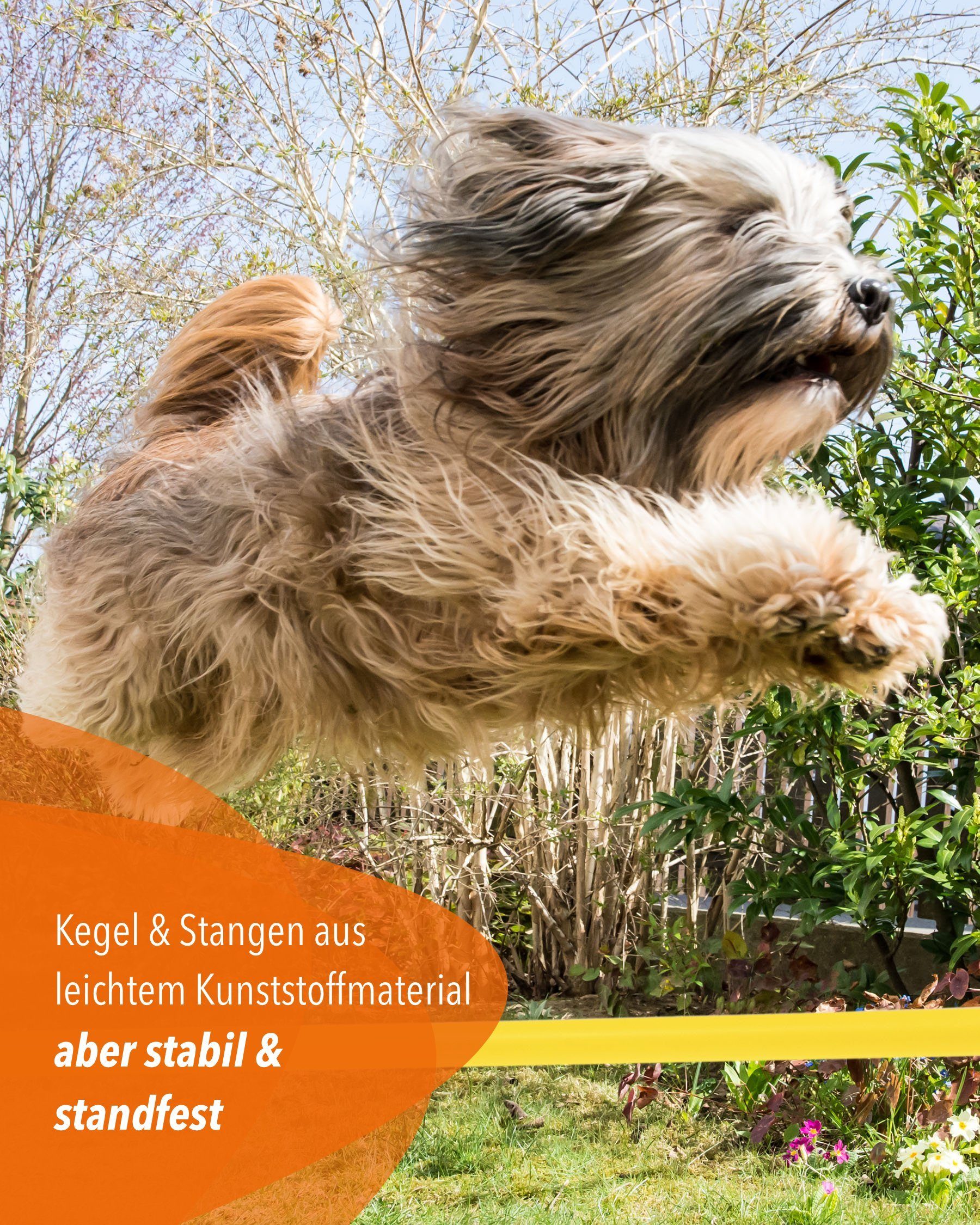 Superhund Hürde Kegelhürde 40 mit Stange 100 cm Farbe Gelb