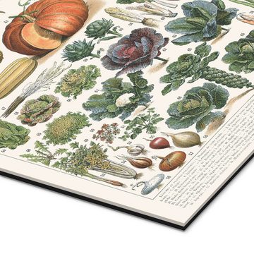 Posterlounge XXL-Wandbild Adolphe Millot, Gemüse und Hülsenfrüchte (französisch), Küche Vintage Illustration
