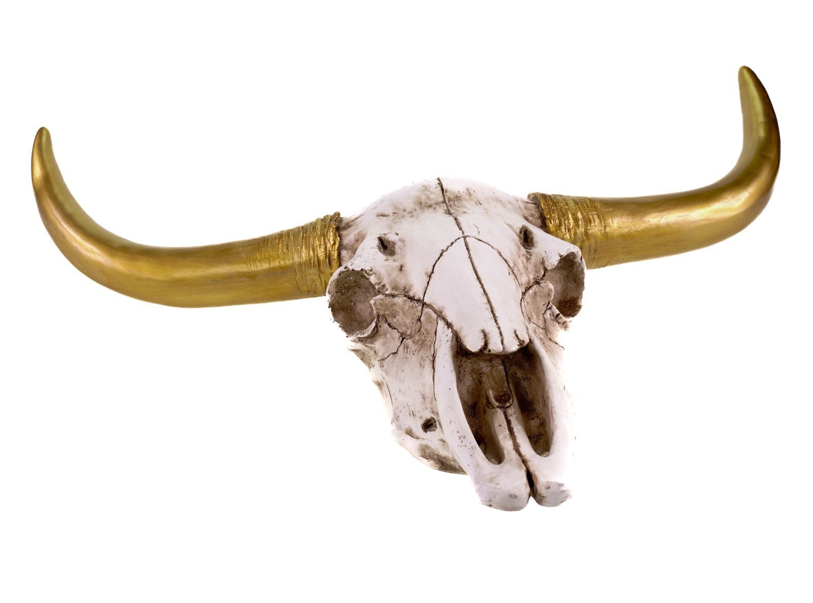 Kremers Schatzkiste Tierfigur Büffelschädel Gold Hörner günstig online kaufen