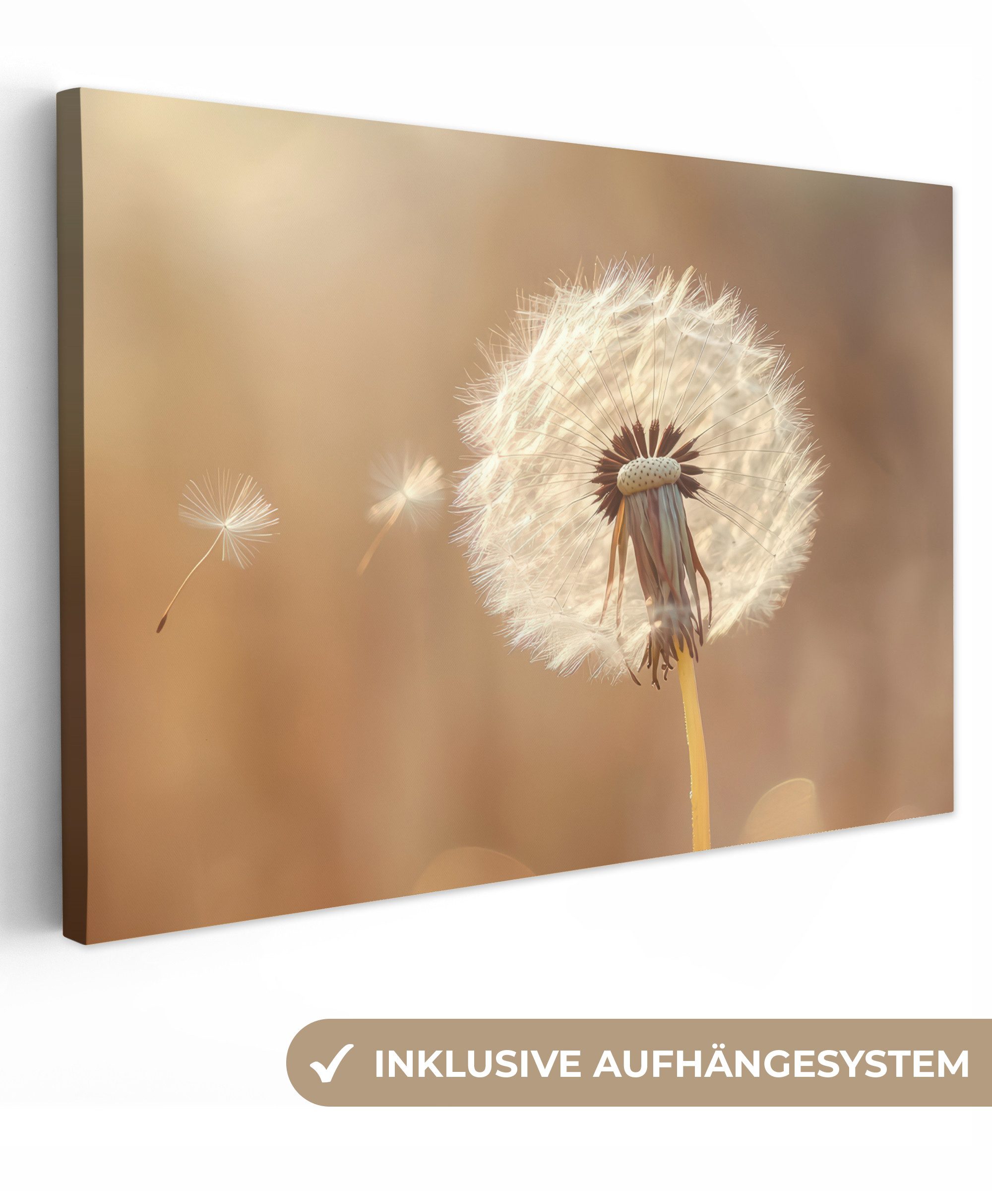 OneMillionCanvasses® Leinwandbild Löwenzahn - Beige - Natur - Blume, Fotodr günstig online kaufen