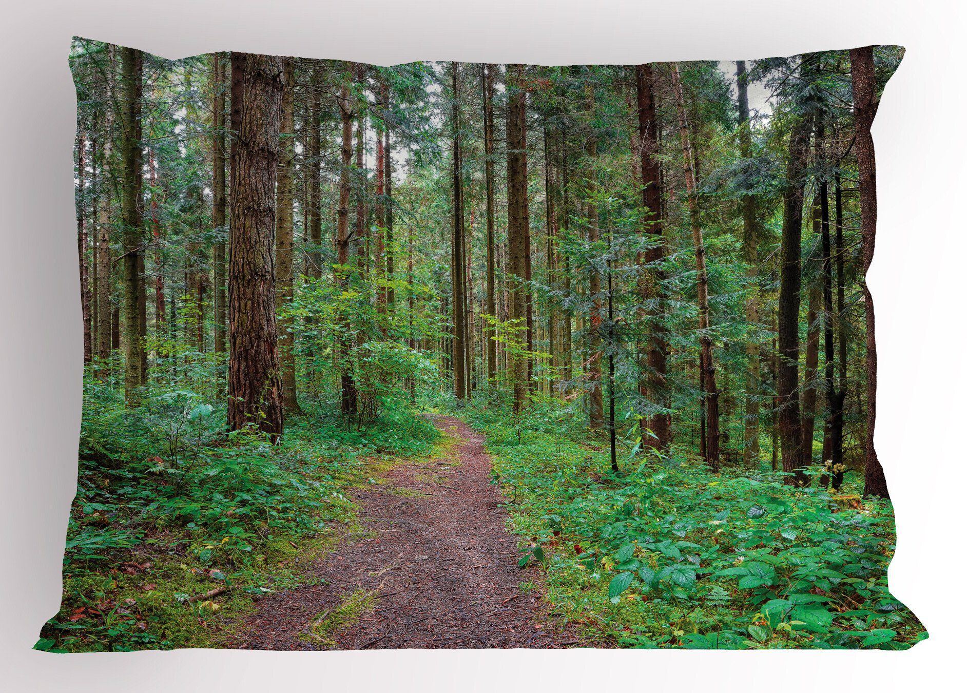 Kissenbezüge Dekorativer Standard King Abakuhaus Theme Size Stück), Kissenbezug, Nature (1 Pathway Gedruckter Szene Wald
