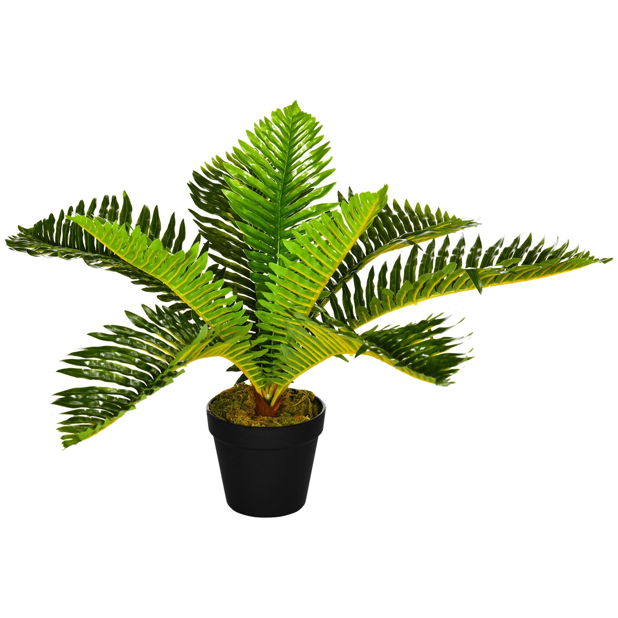 Kunstpflanze Künstliche Pflanze, Palme, HOMCOM, Höhe 50 cm, Grün 12,5 x 12, günstig online kaufen