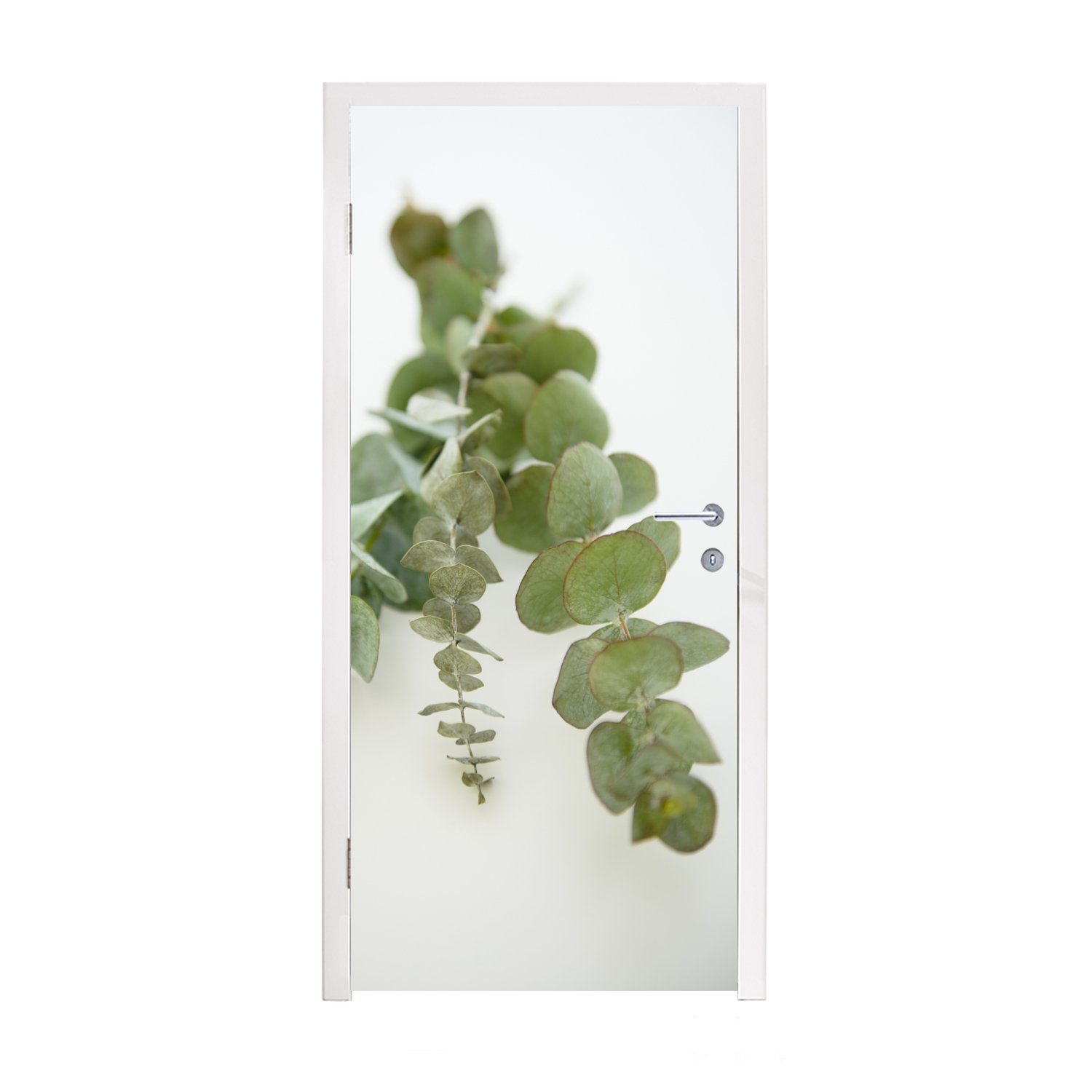 MuchoWow Türtapete Grüne Eukalyptusblätter auf weißem Hintergrund, Matt, bedruckt, (1 St), Fototapete für Tür, Türaufkleber, 75x205 cm
