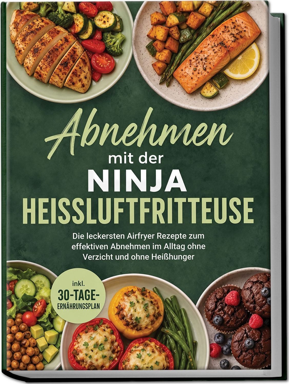 Abnehmen mit der Ninja Heißluftfritteuse: Die leckersten Airfryer Reze / Barbara Knaust