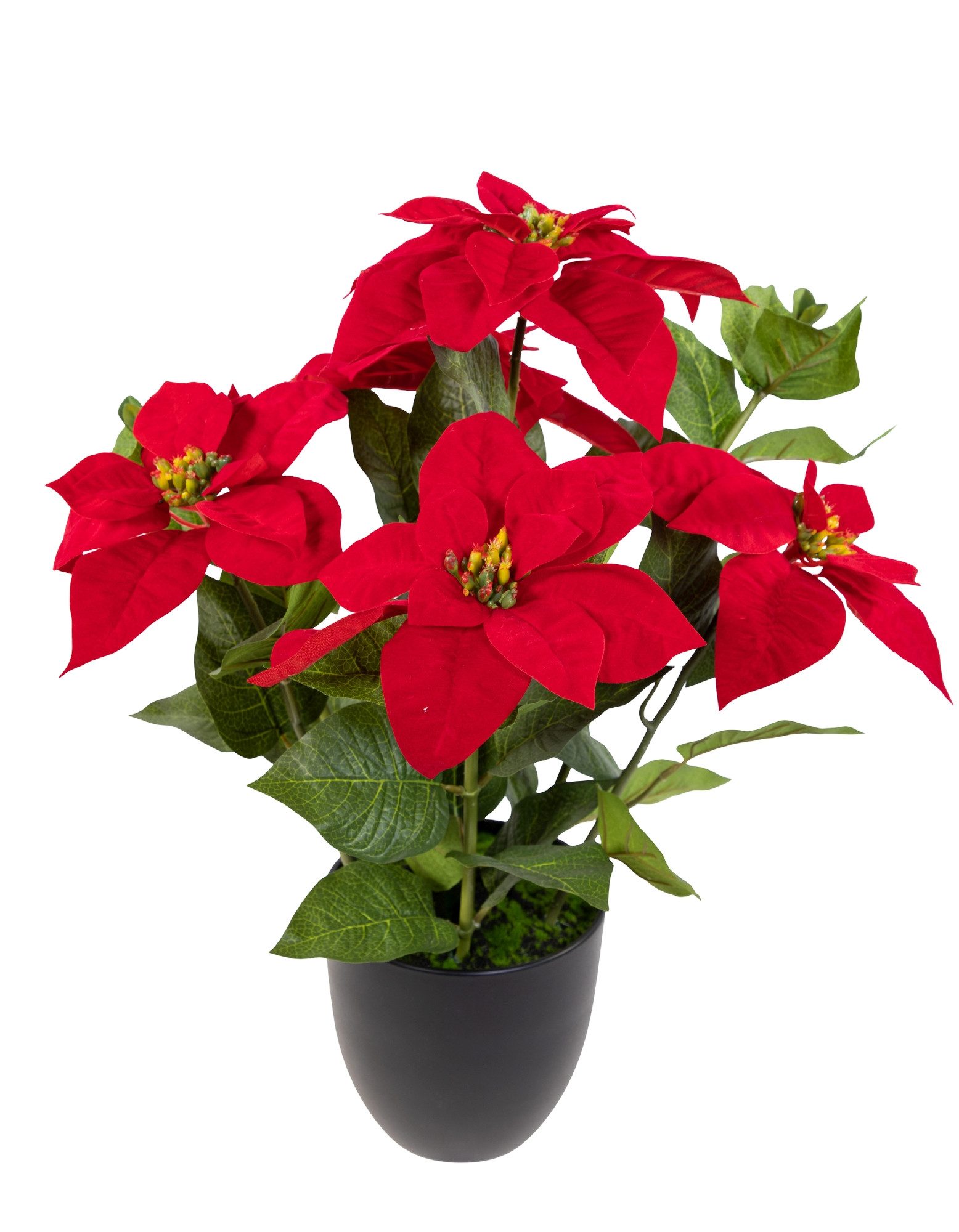 Kunstblume Großer Weihnachtsstern 56cm rot im Topf DP Kunstblumen künstlich günstig online kaufen