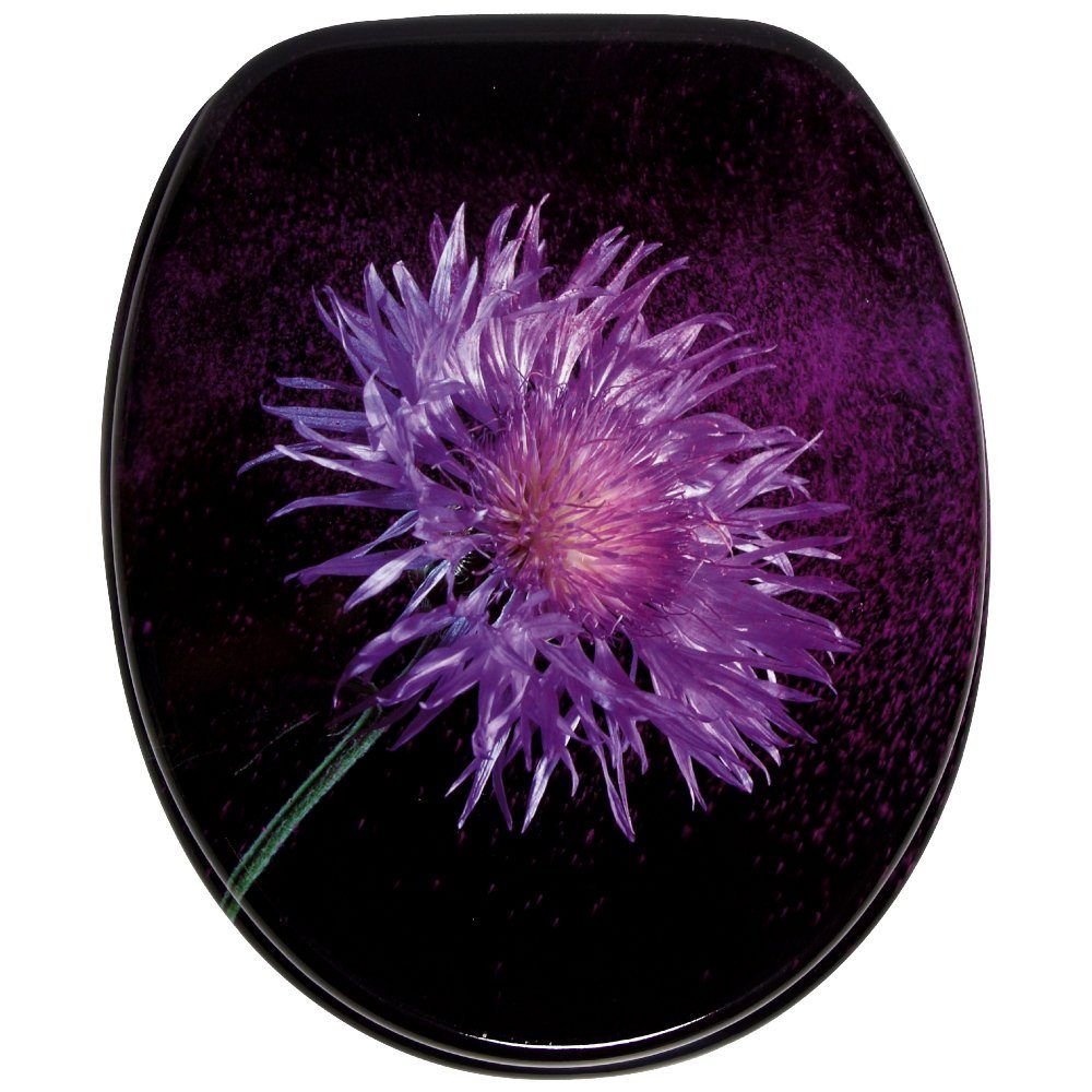 Sanilo WC-Sitz Purple Dust, mit Absenkautomatik, hochwertig & modern, unive günstig online kaufen