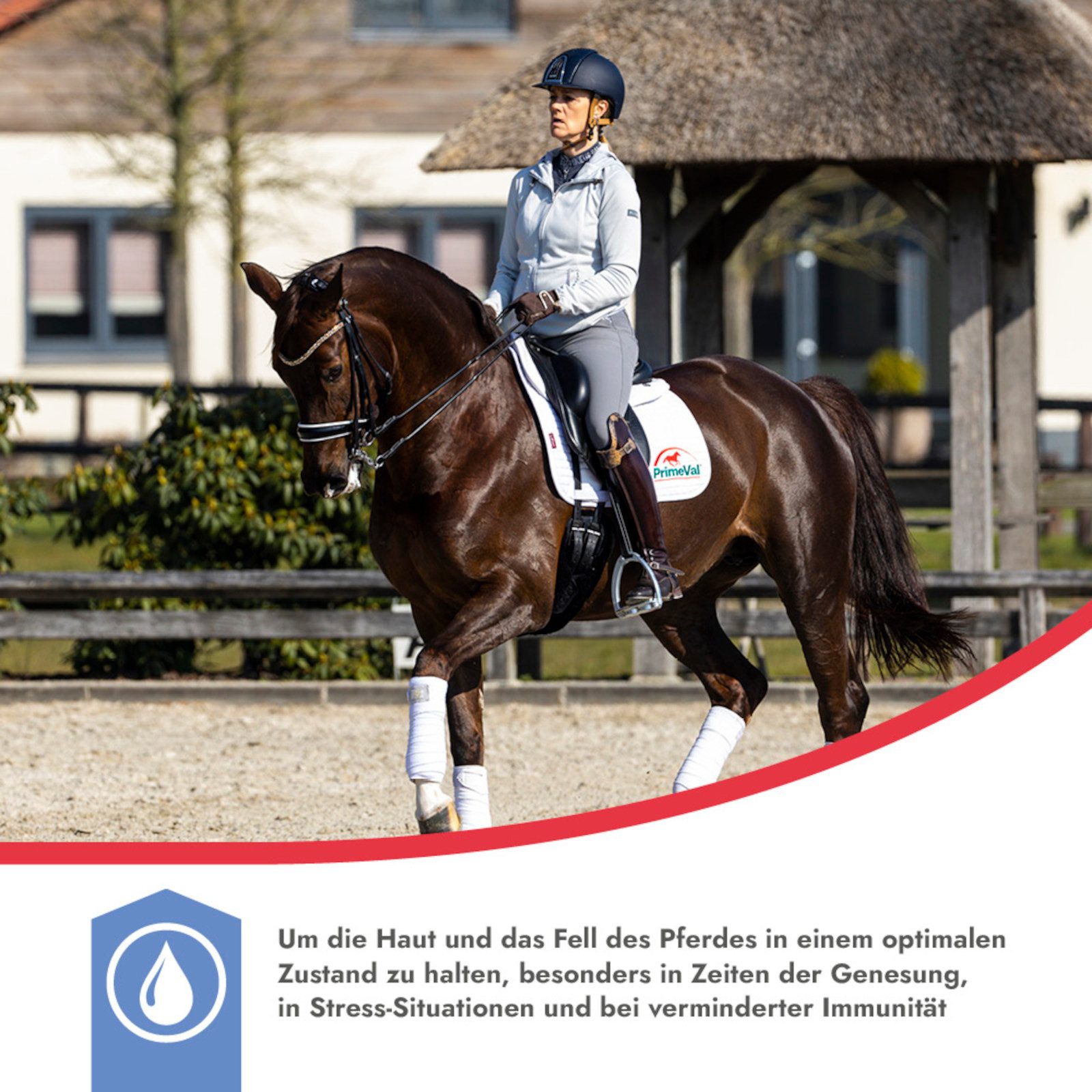 PrimeVal Omega 3-6-9 für Pferde, Für gesunde Haut und glänzendes Fell, 1 Liter, für: Pferde