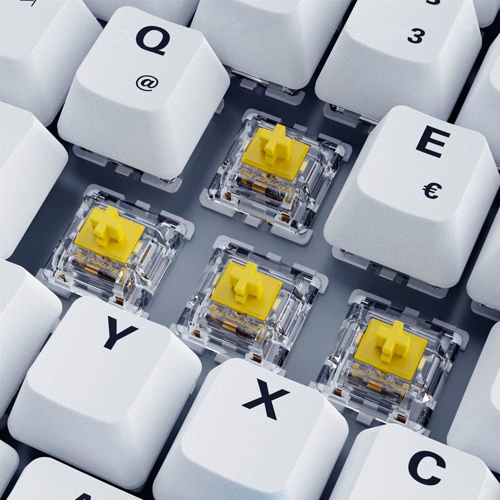 Sharkoon SKILLER SGK50 S3 PBT Tastatur