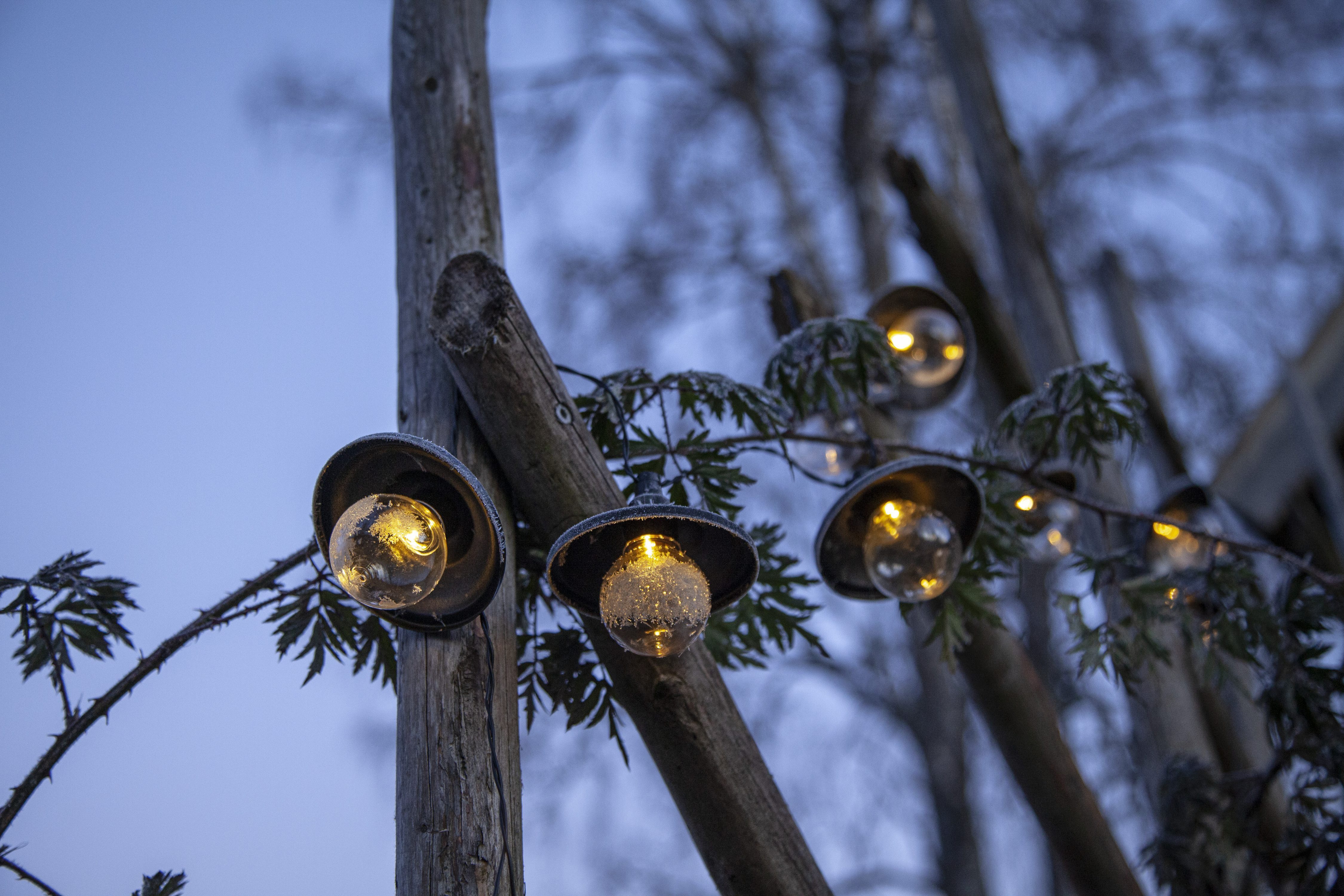 STAR TRADING LED-Lichterkette Globe Shade, 10-flammig, ca. 1,8 m + ca. 2 m Zuleitung, Akku, outdoor, Vierfarb-Karton